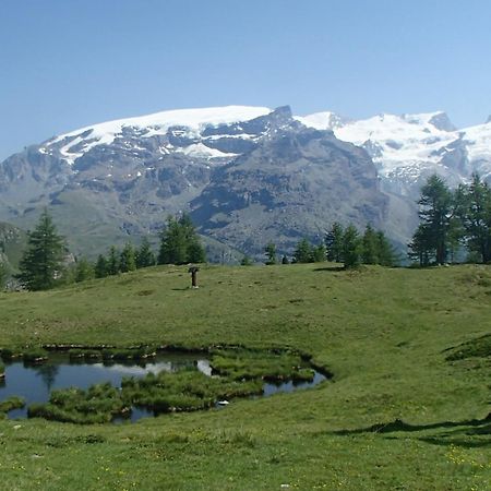 Champoluc Apartment Εξωτερικό φωτογραφία