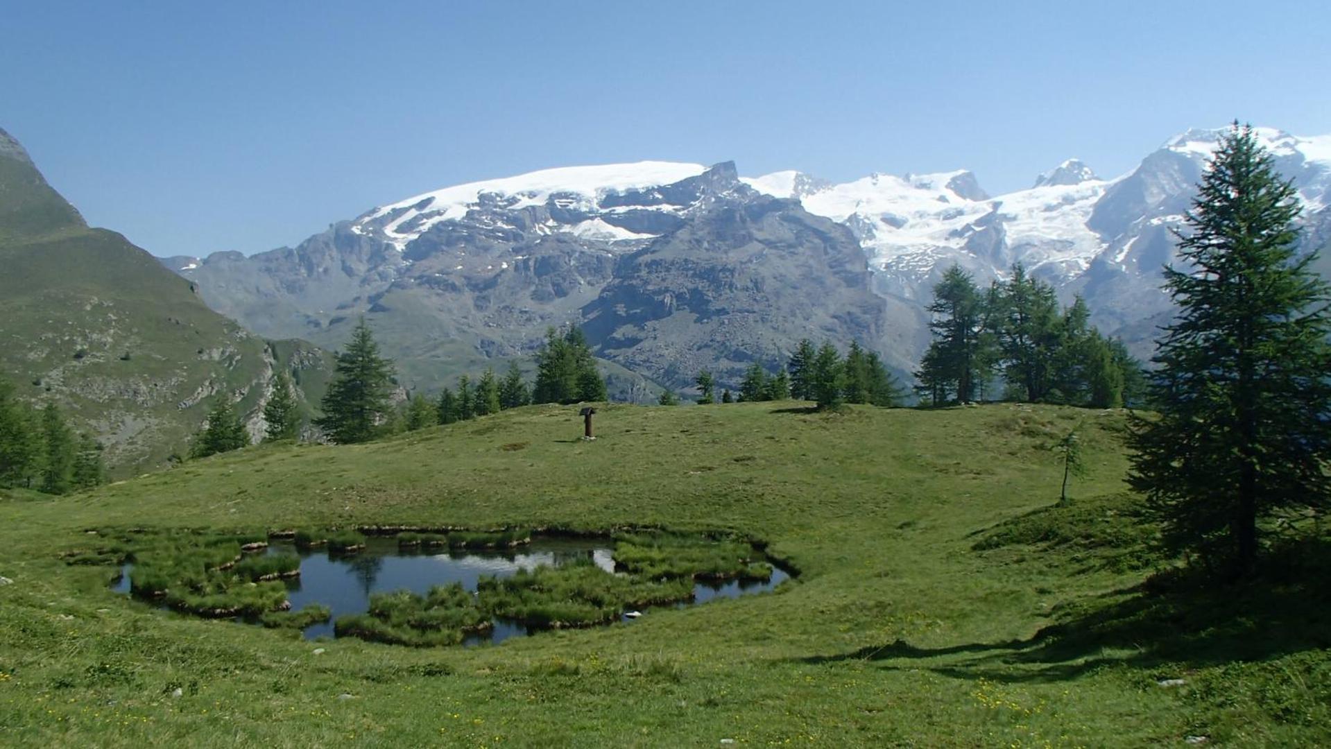 Champoluc Apartment Εξωτερικό φωτογραφία